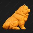 3750-Chow_Chow_Rough_Pose_04.jpg Chow Chow Rough Dog 3D Print Model Pose 04