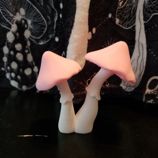 20250612_181116.jpg Mushroom Cluster 2