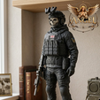4294.png 🇺🇦Phantom Skull Operator — Elite Tactical Ghost