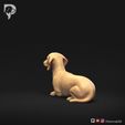 Dachshund-Miniature-Smooth-Haired-Pose-07-Dog-3D-Print-6s.jpeg Dachshund Miniature Smooth Haired Pose 07