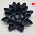 85913b96-0da1-417f-aef0-760585428154.jpg MTG Black Lotus Flower Display Piece - Magic The Gathering Desk Toy