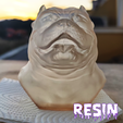 Resina-3.png American Bully Bust