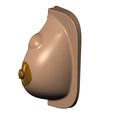 BREAST-120.JPG Anatomical female breasts model with common diseases