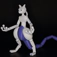 IMG_2379.jpg Darth Mewtwo Action Figure