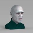 untitled.319.jpg Lord Voldemort bust ready for full color 3D printing