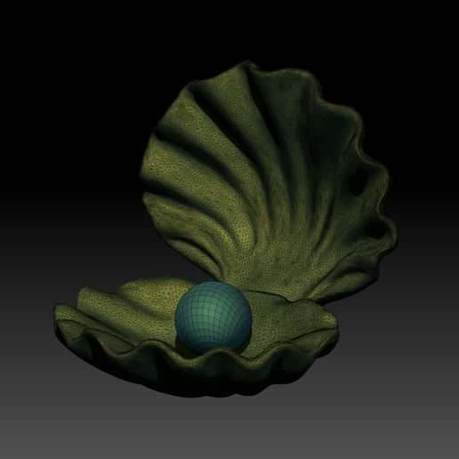 shell-01-mesh.jpg Ostra