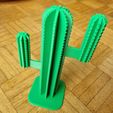 1.jpg Cactus decoration - Support Bague
