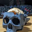 Boneheads: Boîte Crâne avec cerveau - via 3DKitbash.com