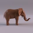 Elephant_0003.jpg Elephant