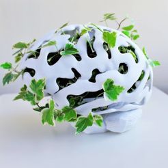 IMG_20190427_185905_931.jpg STL-Datei Brain Planter kostenlos・3D-druckbares Objekt zum herunterladen