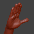 Salute_22.png Hii greeting saluted hand