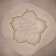 IMG_20200526_224038.jpg Flower - Cookie Cutter