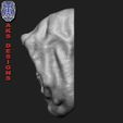 v174_WD_R3.jpg Wall home decor Reaper skull v174 3D print model