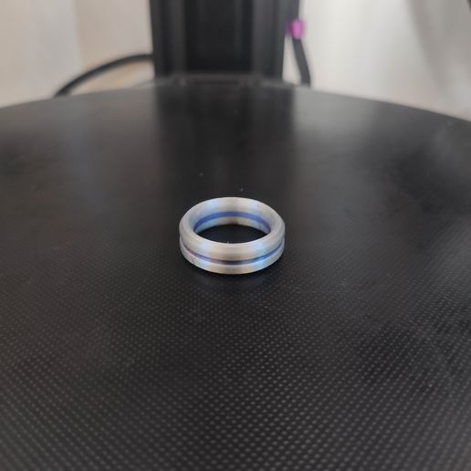 bicolor ring 3D model