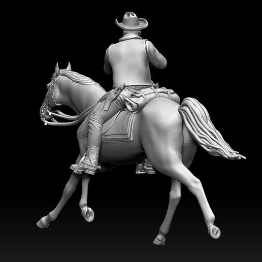 546456546.jpg COWBOY