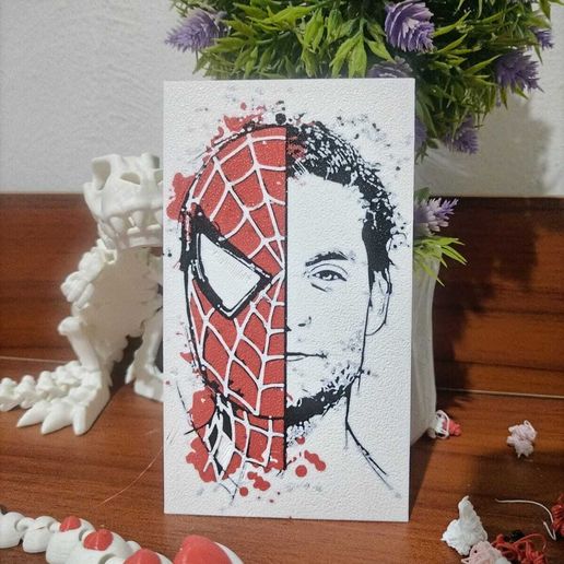 WhatsApp-Image-2025-07-30-at-6.06.11-PM.jpeg Spiderman Tobbey