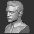 3.jpg Handsome man bust ready for full color 3D printing TYPE 1