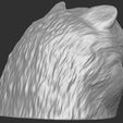 9.jpg Puppy of Pomeranian dog head for 3D printing