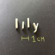IMG_7934.jpg LILY Font küçük harf 3D harfler STL dosyası
