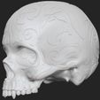2023-04-06-11_36_48-ZBrush.jpg stl file of 3d prints engraved female skull elegant anatomy
