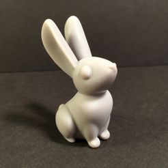 Preview1.jpg STL file Rabbit・3D print design to download, YellowDay