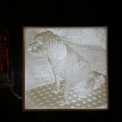 20190819_090413_n.jpg Archivo STL gratis Lámpara de Lithophane・Plan imprimible en 3D para descargar