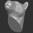 19.jpg Lioness head for 3D printing