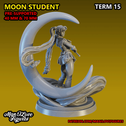 SAILORMOON1.png 3D file Moon Student Mini・3D printing model to download