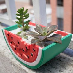 IMG_8384.jpg Watermelon plant pot