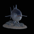 Bluefin-tuna-6.png Atlantic bluefin tuna / Thunnus thynnus / Tuňák obecný  fish underwater statue detailed texture for 3d printing