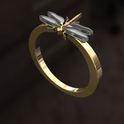 LLL1.jpg Archivo STL Anillo del Dragón-Mosca・Objeto imprimible en 3D para descargar