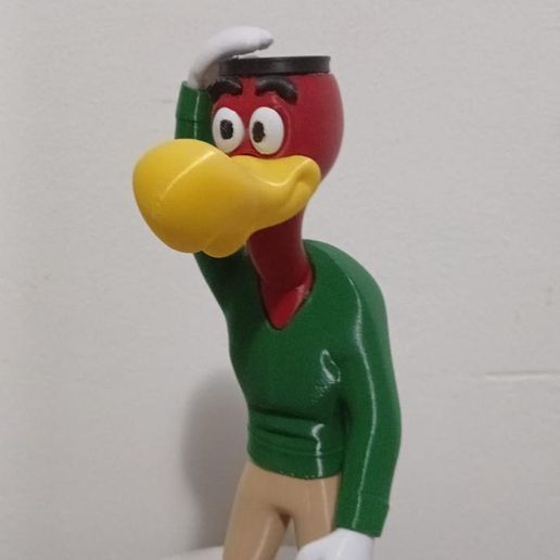 WhatsApp-Image-2025-10-23-at-11.57.09-1.jpeg Zeca Urubu cabelinho na régua (Woodpecker)