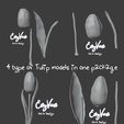 Tulip-11.png Bouquet of tulips