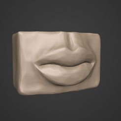Снимок-3.jpg STL file Lips pot-organizer-vase・3D printer design to download, Sofi-art