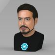 tony-stark-downey-jr-iron-man-bust-full-color-3d-printing-ready-3d-model-obj-mtl-stl-wrl-wrz (1).jpg Tony Stark Downey Jr Iron Man bust full color 3D printing ready