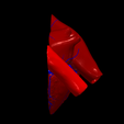 2.png 3D Model of the Heart with Tetralogy of Fallot, parasternal long axis