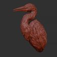 12.jpg Grey Heron bust