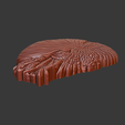 Nautilus2-2.png Nautilus 3d relief .stl file