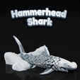 FEED-2023-07-17T135351.247.jpg Hammerhead Shark