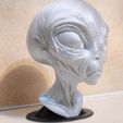 1741375806320.jpg 👽 Classic Grey Alien Bust C - Detailed  Model 🛸