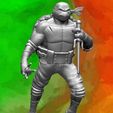 Raph01.jpg Raphael - The Fighter - TMNT