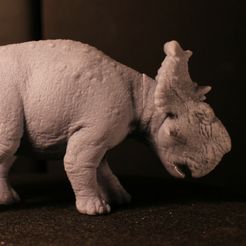 IMG_13072.jpg Pachyrhinosaurus - Free Kickstarter Sample