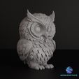 2.jpg 3D Decorative Owl Model: Natural Elegance for Your Home