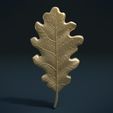 Oak_Leaf_x-0001.jpg Oak Leaf