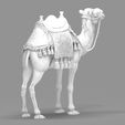 Detailed-Arabian-Camel-Saddled-Desert-Mount.80.jpg Detailed Arabian Camel - Saddled Desert Mount