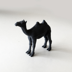 Capture_d__cran_2015-08-11___10.56.09.png Free STL file FDM ready split Camel・3D print design to download