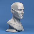 Cam_002.jpg Face Plane Anatomy Firgure