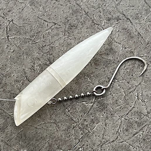 IMG_1073.jpg SeaMo Plug fishing lure