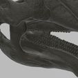 jaw.jpg Dinosaurier-Schädel - Parasaurolophus