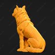3675-Chinese_Crested_Pose_04.jpg Chinese Crested Dog 3D Print Model Pose 04